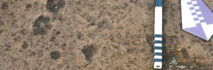 2020/01 - Spuren in der Asche